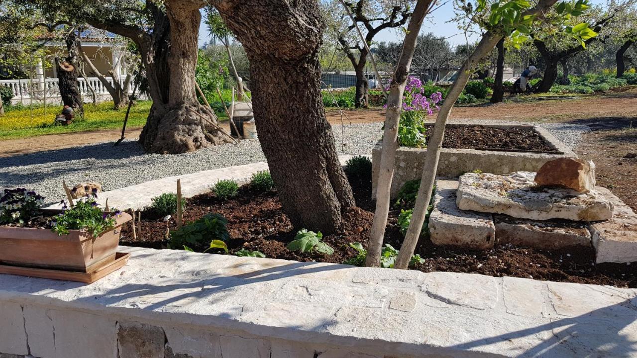 Il Trullo Di Nonna Lella ξενώνας Castellana Grotte Εξωτερικό φωτογραφία