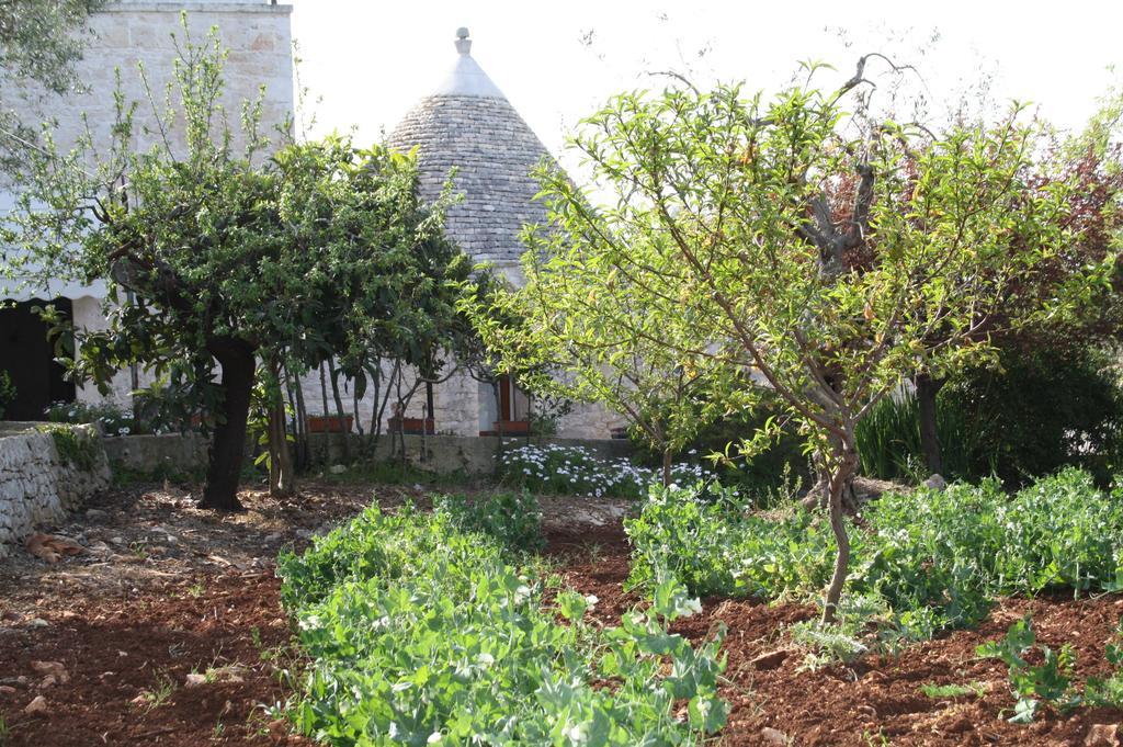 Il Trullo Di Nonna Lella ξενώνας Castellana Grotte Εξωτερικό φωτογραφία
