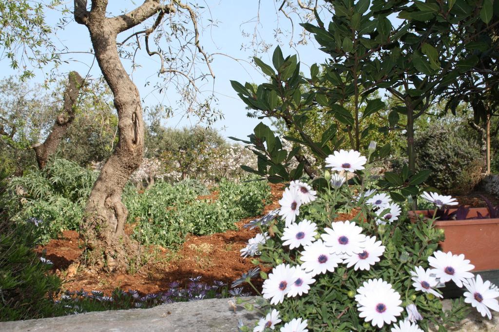 Il Trullo Di Nonna Lella ξενώνας Castellana Grotte Εξωτερικό φωτογραφία