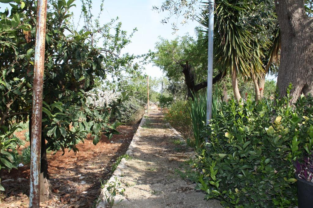 Il Trullo Di Nonna Lella ξενώνας Castellana Grotte Εξωτερικό φωτογραφία